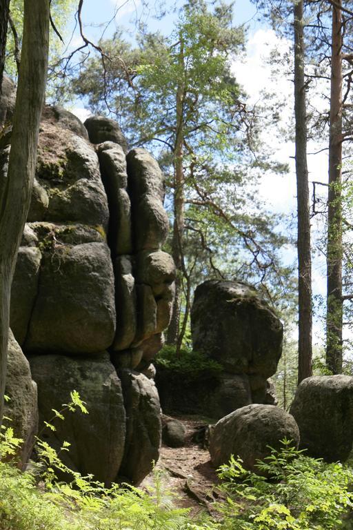 Appartamento Goldberghaus Großschönau Esterno foto